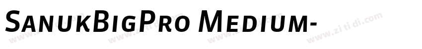 SanukBigPro Medium字体转换 SanukBigPro Medium字体转换